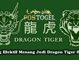 Peluang Efektif Menang Judi Dragon Tiger Online